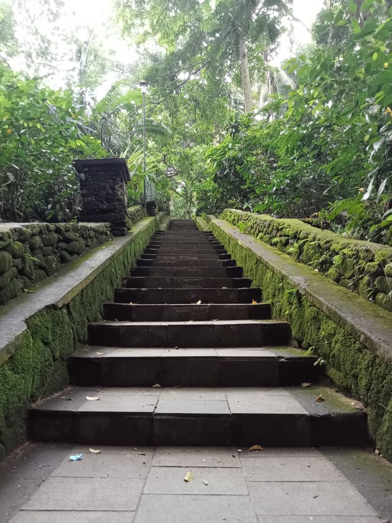 Mak Kratom - Indonesia Kava